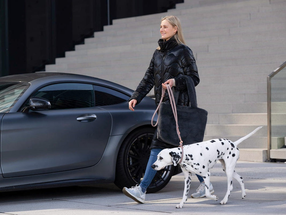 Frau mit Dalmatiner neben sportlichem Auto, trägt schwarzen Wintermantel und graue Tasche, Lederleine in der Hand.