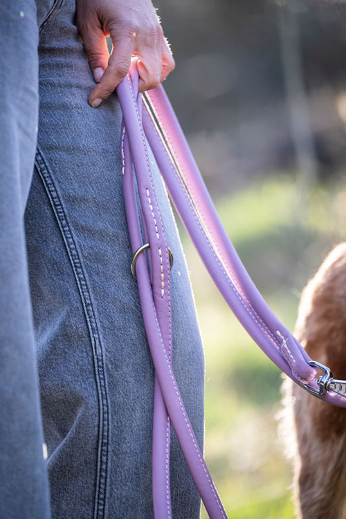 Lila Lederleine 2m, rundgenäht, in Hand gehalten mit Hundesilhouette im unscharfen Hintergrund. Naturstil.