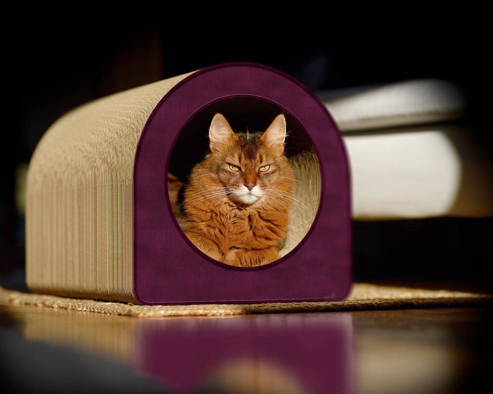 violett (070) - Bild 3