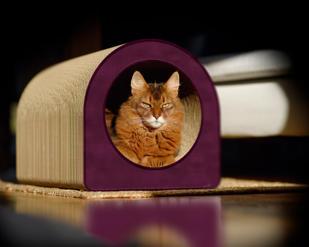 violett (070) - Bild 3