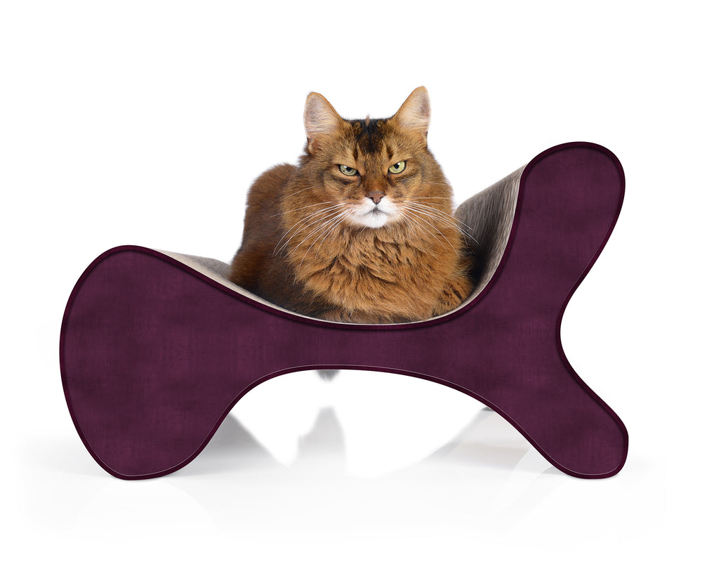 violett (070) - Bild 1