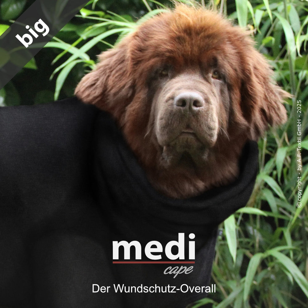 Hund im schwarzen Wundschutz-Overall in einer grünen Umgebung, optimaler Schutz für seinen Körper.