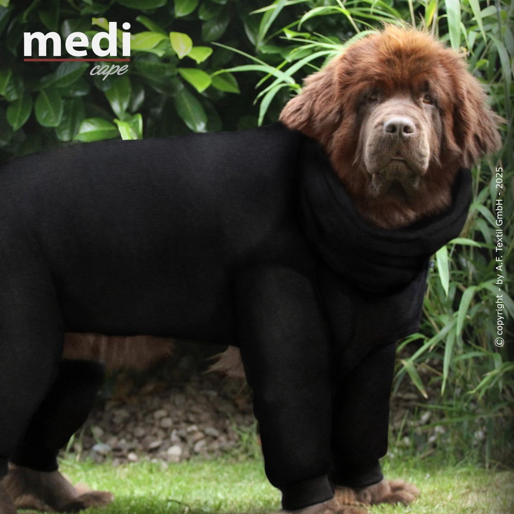 Brauner Hund im schwarzen stricken Anzug vor grünen Pflanzen in natürlicher Umgebung.