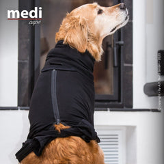 Golden Retriever trägt ein schwarzes Cape vor einem Kamin und schaut neugierig nach oben.