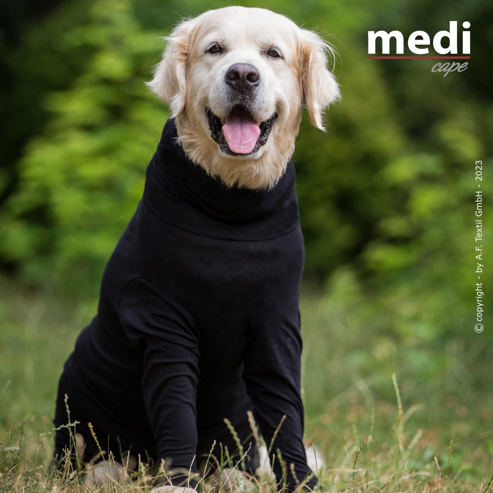 "Lächelnder Golden Retriever in schwarzem Outfit auf grüner Wiese, zeigt das medi cape mini."