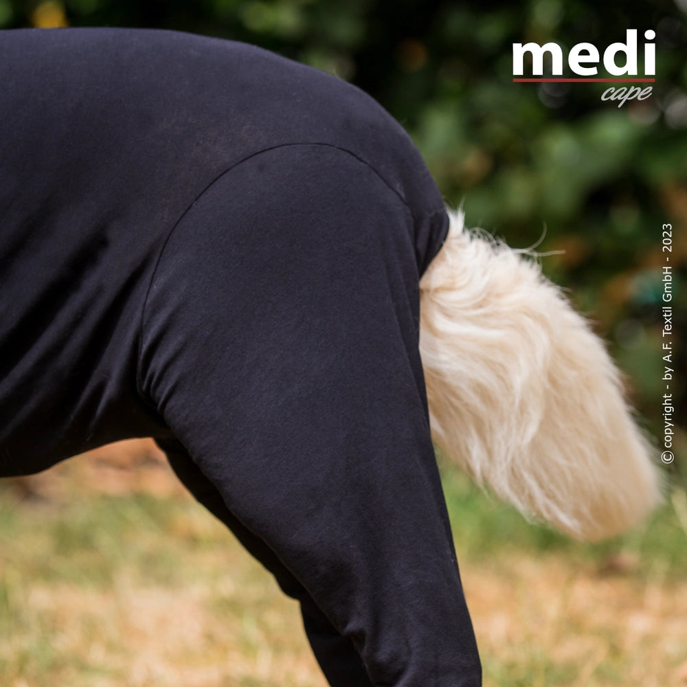Hund mit hellem, lockigem Fell in schwarzem Langarm-Outfit im Hintergrund der Szene.