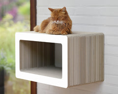 weiß,  gestrichen (000x) - Bild 2