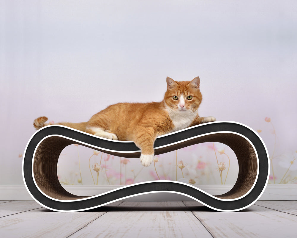 schwarz, weißer Rand (000g) - Bild 3