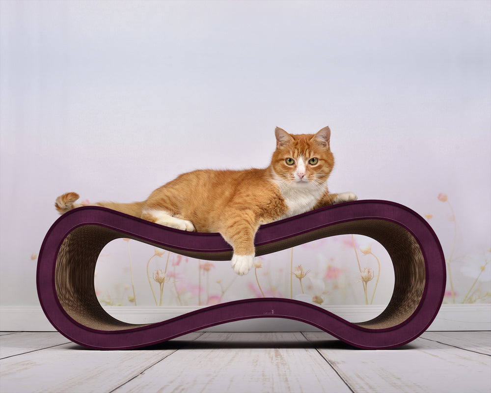 violett (070) - Bild 3