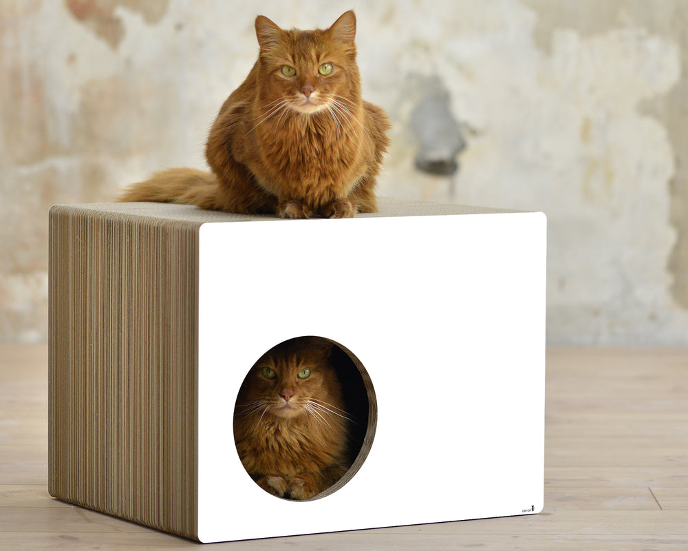 weiß,  gestrichen (000x) - Bild 1