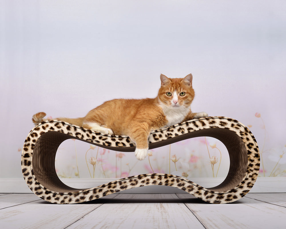 gepard (052) - Bild 4