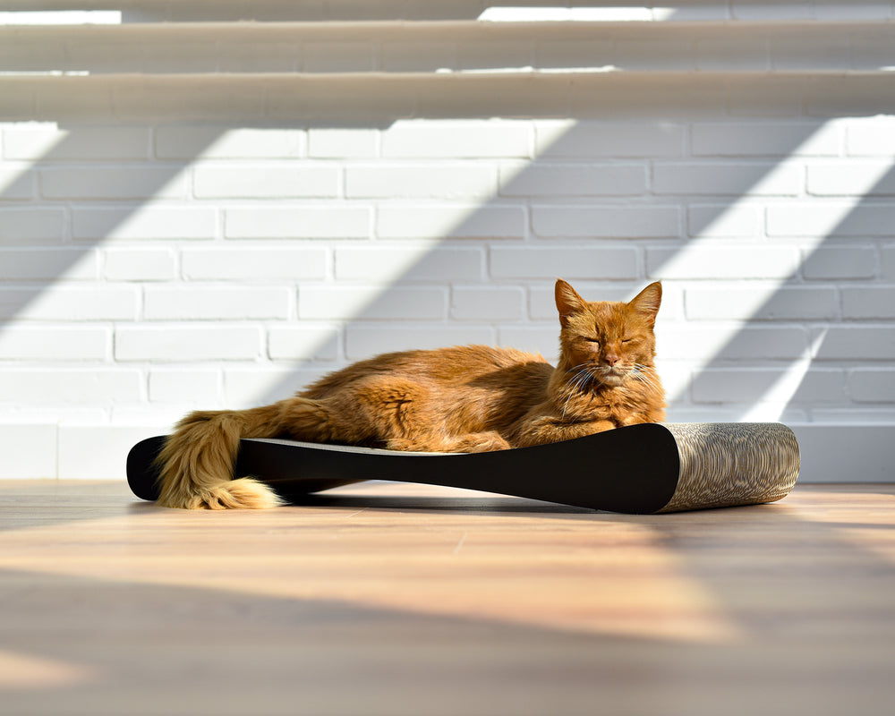 schwarz, meliert (013) - Bild 2