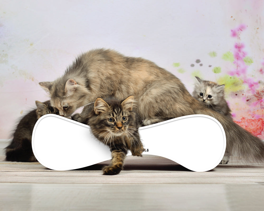 weiß mit Rand (000) - Bild 2