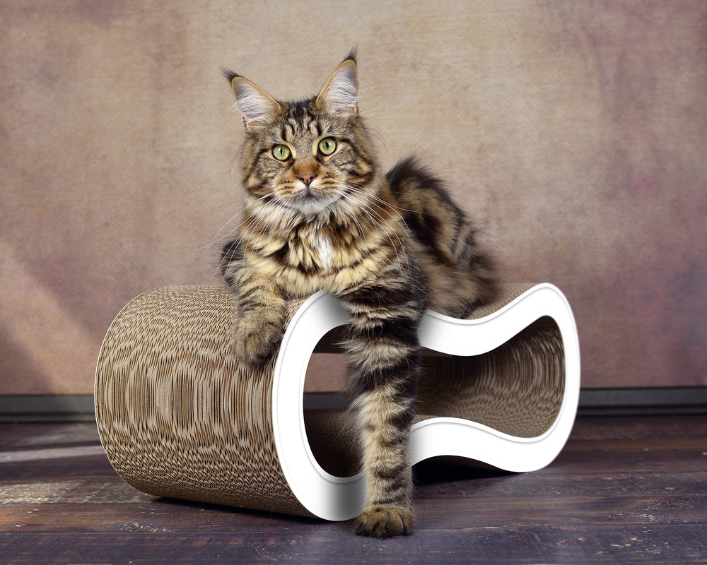 weiß mit Rand (000) - Bild 3