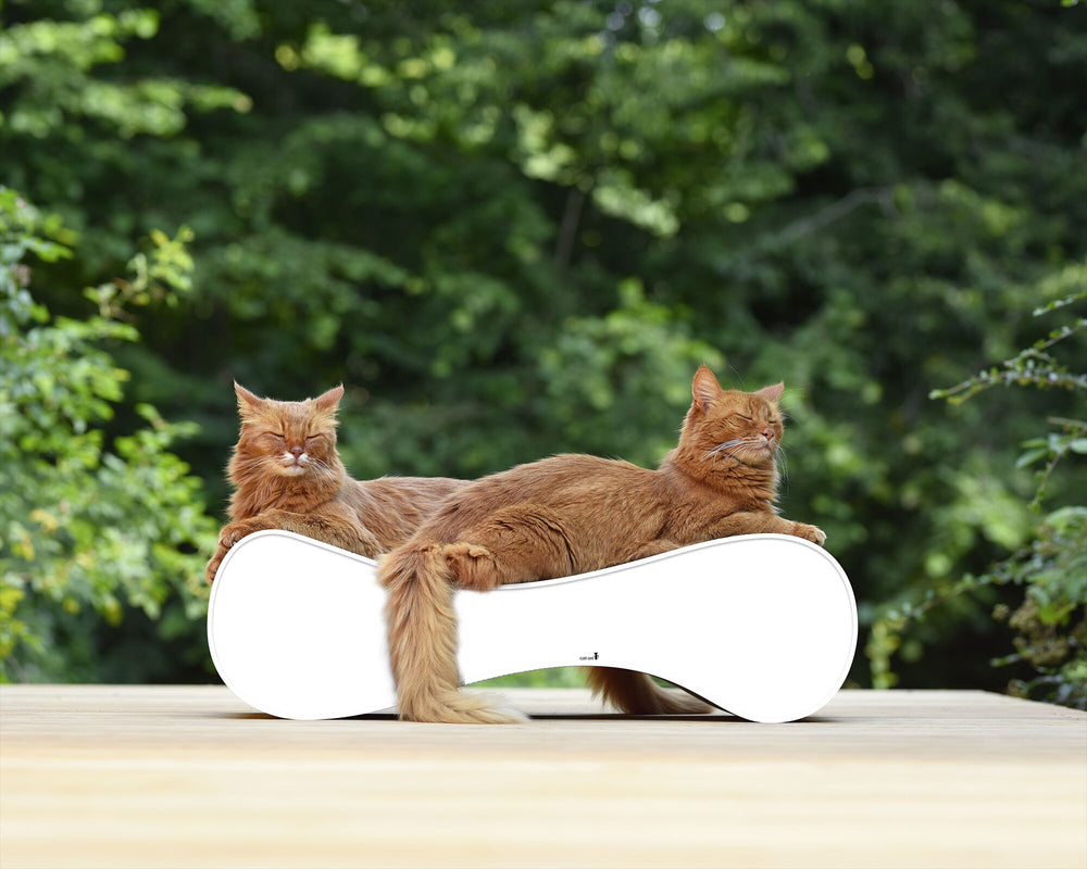 weiß mit Rand (000) - Bild 4