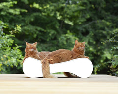 weiß mit Rand (000) - Bild 4