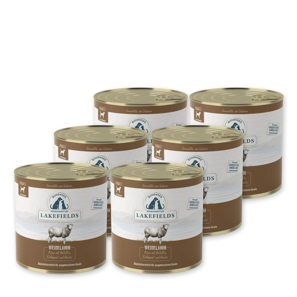 Sechs Dosen Lakefields Hunde-Nassfutter mit Lammgeschmack auf einfachem Hintergrund.