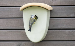 Nistkasten an Wand mit Vogel, vermutlich Blaukäppchen, in ovaler Form und gewölbtem Dach.