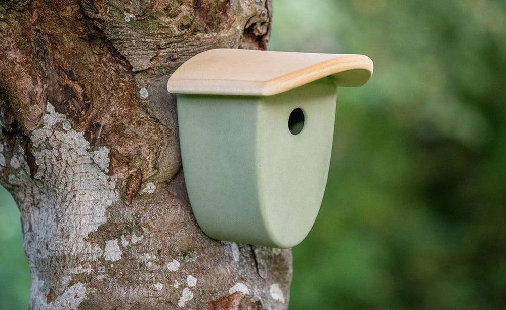 Grüner Nistkasten mit rundem Einflugloch, fest am Baumstamm befestigt, ideal für Vogelbrutstätten.