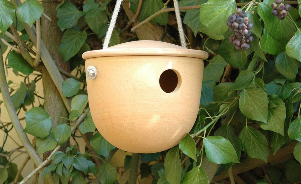 Hängender Blumentopf zum Nisten für Zaunkönige und Meisen, aus hellem Ton, mit Bewässerungslöchern und stabilem Seil.