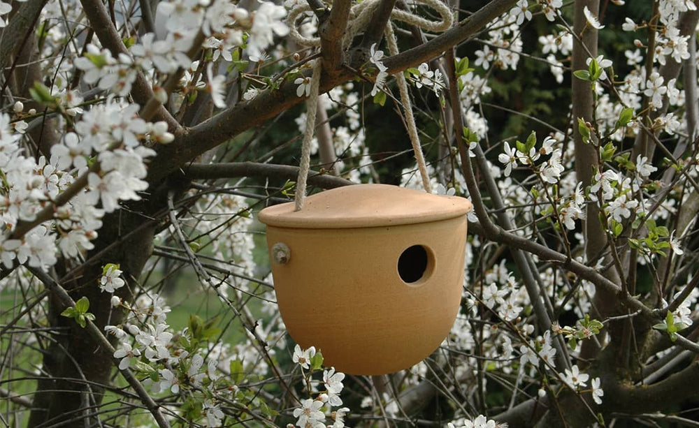 "Nisthöhle für Zaunkönig und Meisen in einem Blumentopf, umgeben von blühenden Zweigen mit weißen Blüten."