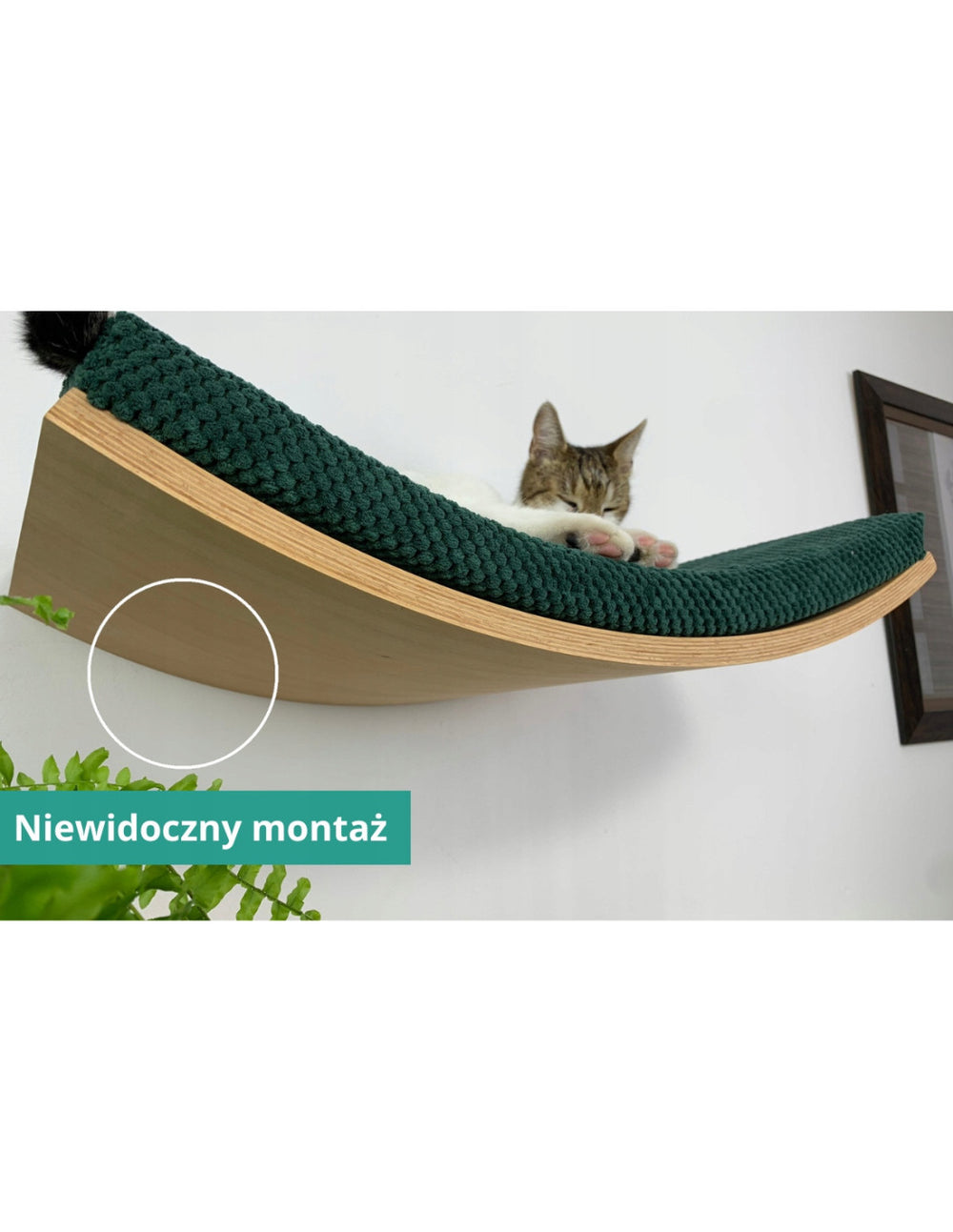 Cat Shelf – The Wavey Retreat | catsatelier-image-478