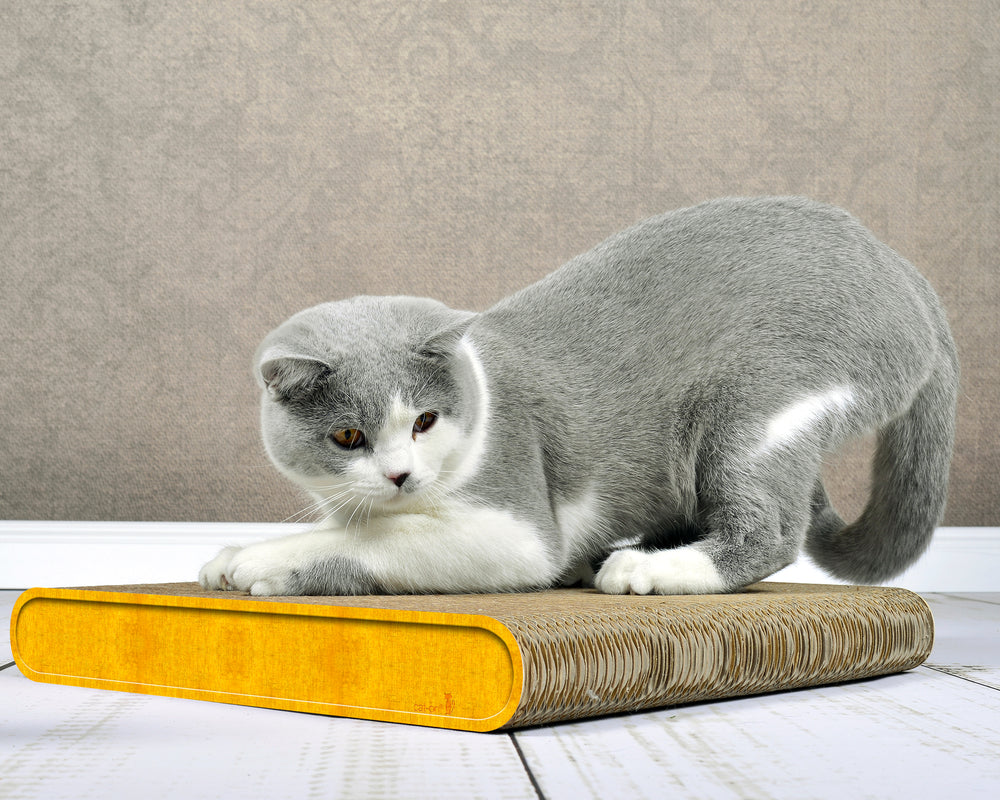 dunkelgelb (004e) - Bild 3