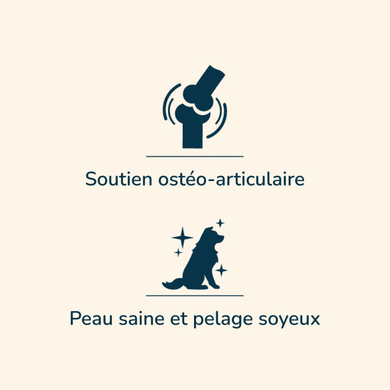 Symbole für Unterstützung des Skelettsystems und gesunde Haut samt glänzendem Fell bei Prestige Adult MAXI.
