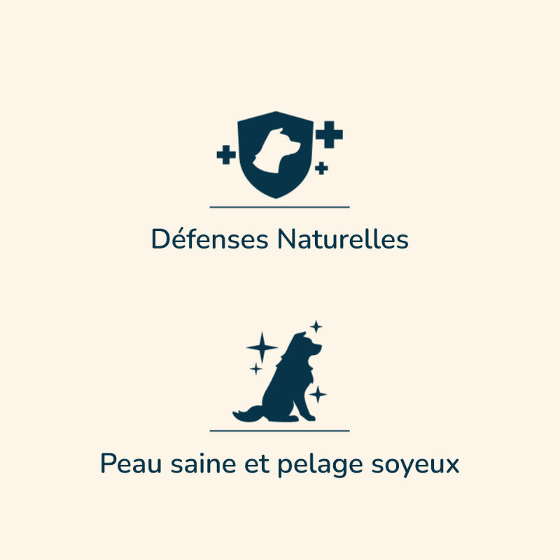 "Prestige Adult MEDIUM: Hundesymbol für natürliche Abwehrkräfte auf grafischem Design."