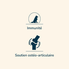 Zwei Symbole auf hellem Hintergrund: Hundesymbol für Immunität und Gelenksymbol für Unterstützung des Bewegungsapparats.