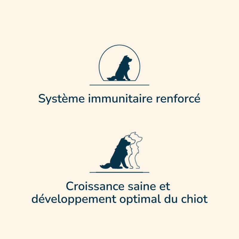 Grafik mit zwei Hundesymbolen, oben Hund mit Text „verstärktes Immunsystem“ für Prestige Puppy MINI.