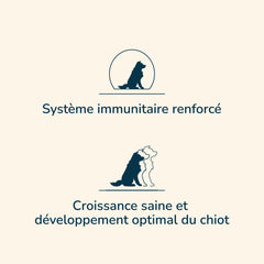 Grafik mit zwei Hundesymbolen, oben Hund mit Text „verstärktes Immunsystem“ für Prestige Puppy MINI.