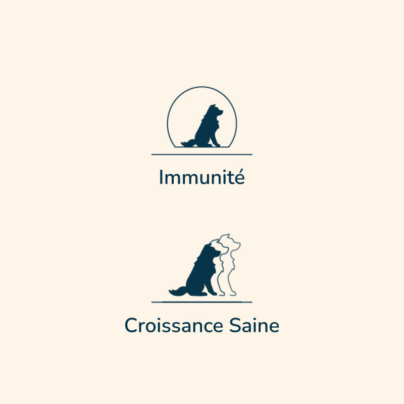 Zwei stilisierte Hundesilhouetten mit dem Wort "Immunité" und einer einzelnen Silhouette oben, für Prestige Puppy MEDIUM.