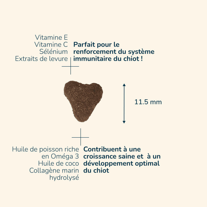 Herzförmiges Futterstück von Prestige Puppy MEDIUM mit Nährstoffen wie Vitamin E, C, Selen und Omega-3-Fettsäuren.
