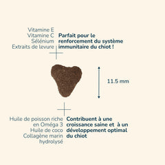 Herzförmiges Futterstück von Prestige Puppy MEDIUM mit Nährstoffen wie Vitamin E, C, Selen und Omega-3-Fettsäuren.
