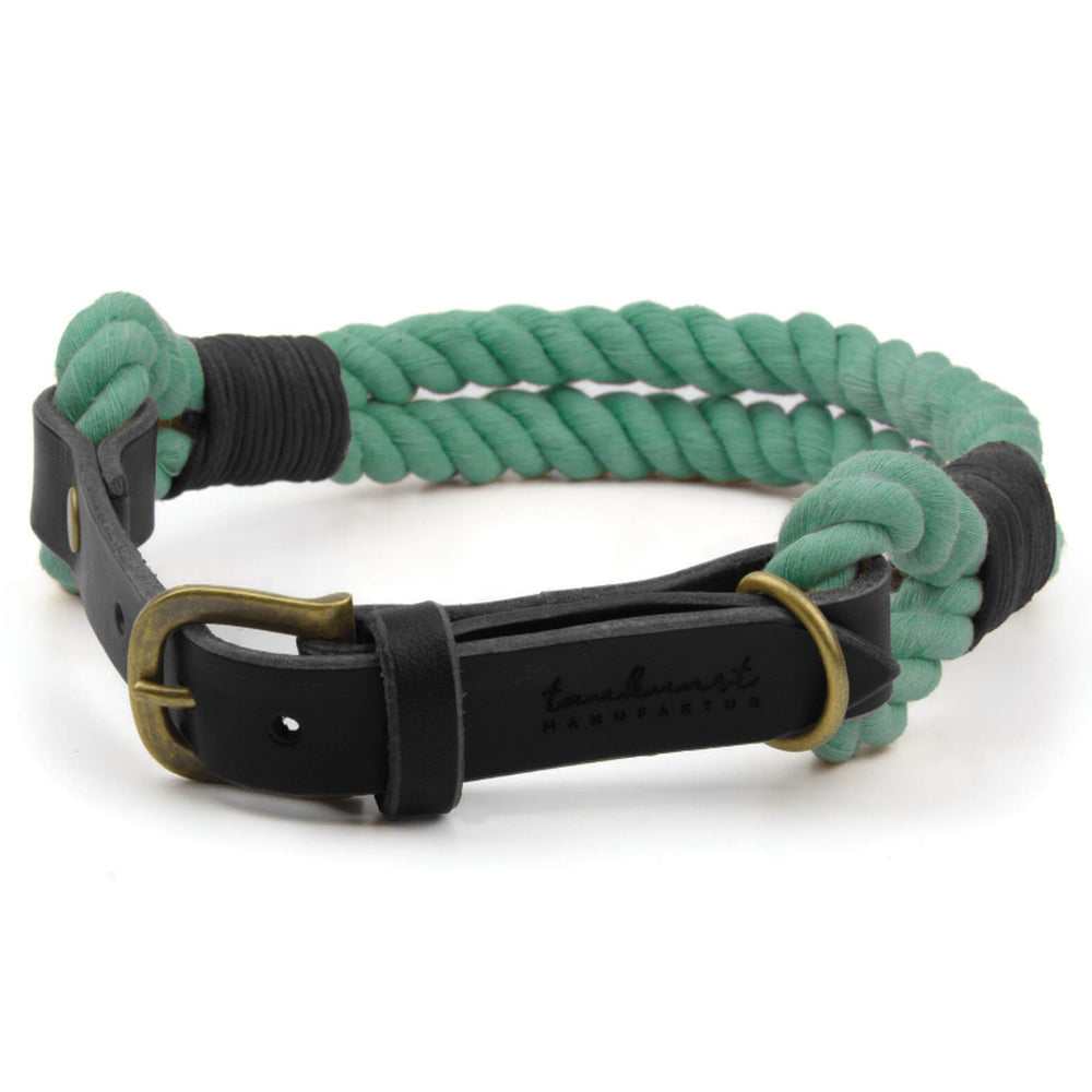 "Welpenhalsband AHOI: Grünes geflochtenes Seil mit schwarzem Leder und goldener Schnalle, robust und stylish für Hunde."