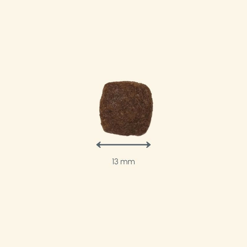 Braunes quadratisches Stück mit rauer Oberfläche auf hellem Hintergrund, ideal für Hautschutz bei Hunden.