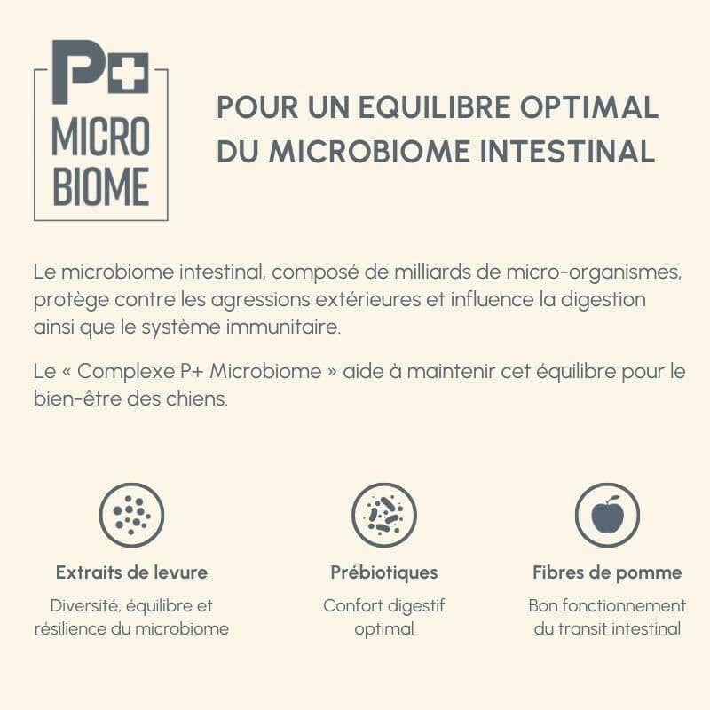 Produkt P+ Microbiome zur Verbesserung des intestinalen Mikrobioms mit Hefextrakten, Präbiotika und Ballaststoffen.