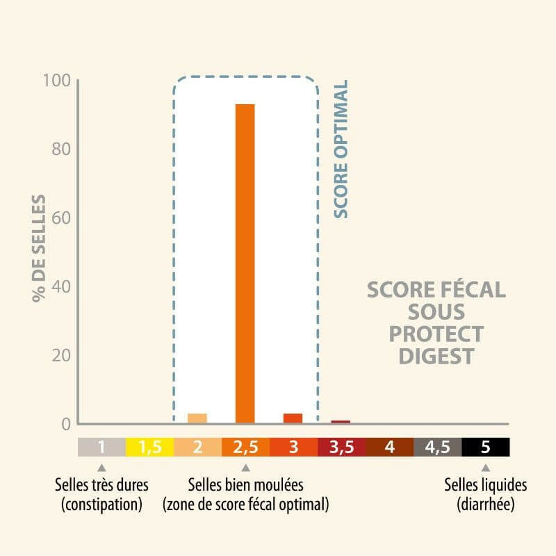 Diagramm zur Stuhlkonsistenz bei Hunden: Stufen von sehr hart bis sehr flüssig, optimale Zone hervorgehoben.