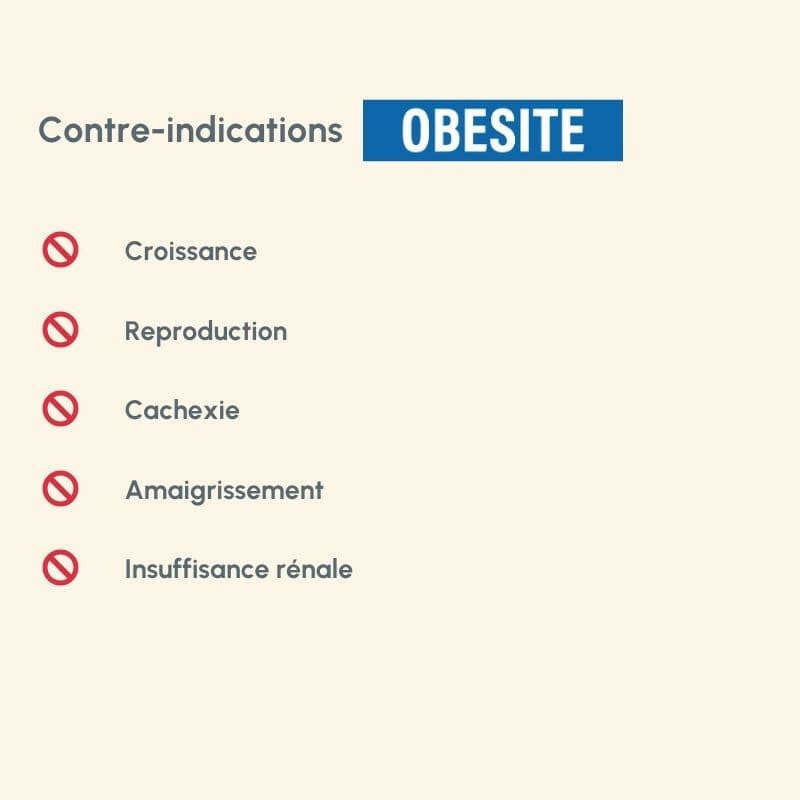 Liste der Kontraindikationen für das Produkt "Protect Chien" bei Obesität, mit wichtigen Warnhinweisen.