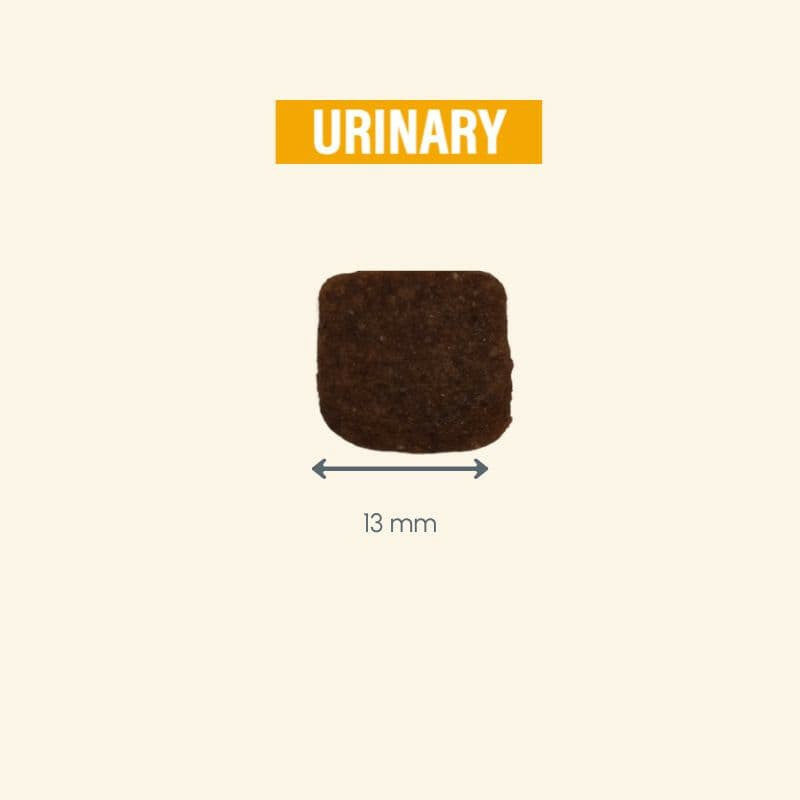 "Dunkles Quadrat mit 'URINARY' in orange-gelber Schrift auf hellbeigem Hintergrund, Teil des Protect Chien Urinary Produkts."