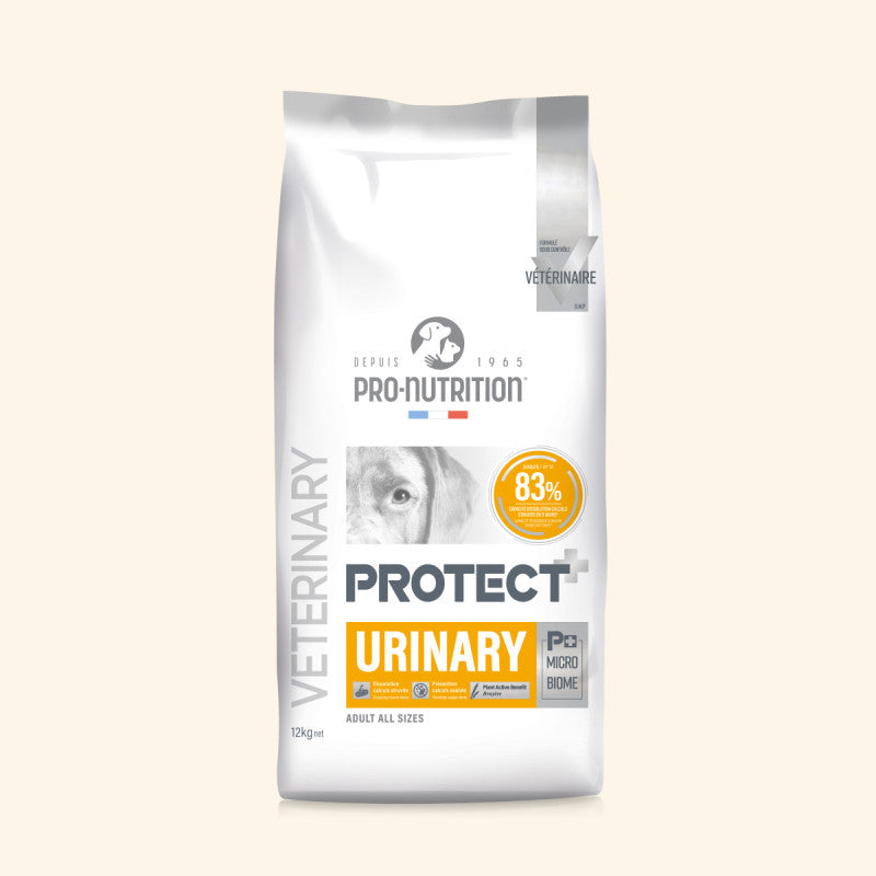 Weiße Tüte mit Tiernahrung "PROTECT+ URINARY" für gesunde Ernährung von erwachsenen Hunden aller Größen.