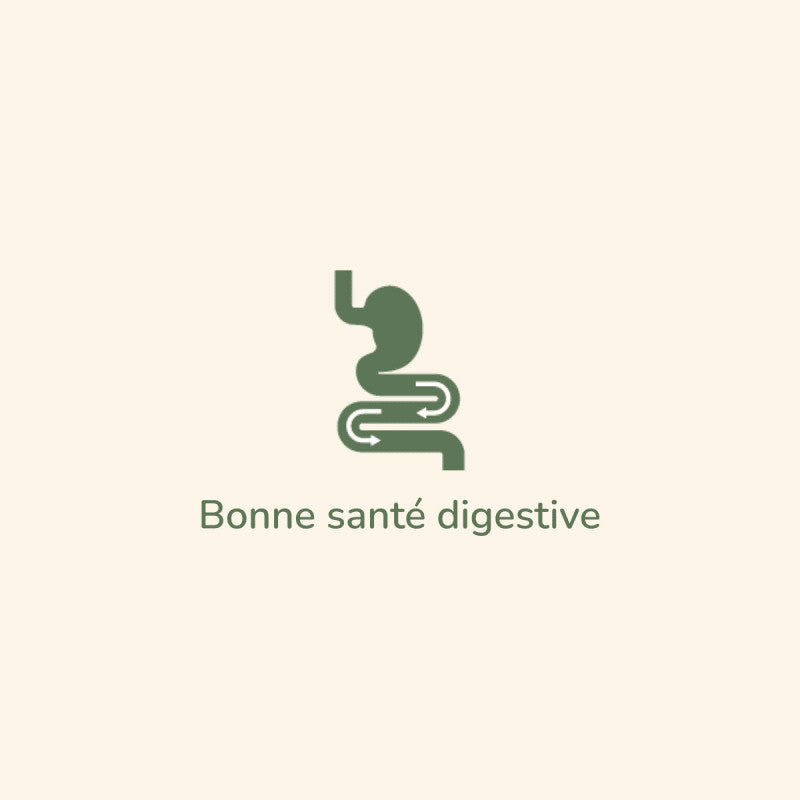 Minimalistisches Design eines Verdauungssystems in Grün mit dem Text „Bonne santé digestive“ für Pure Life Sensitiv Agneau.