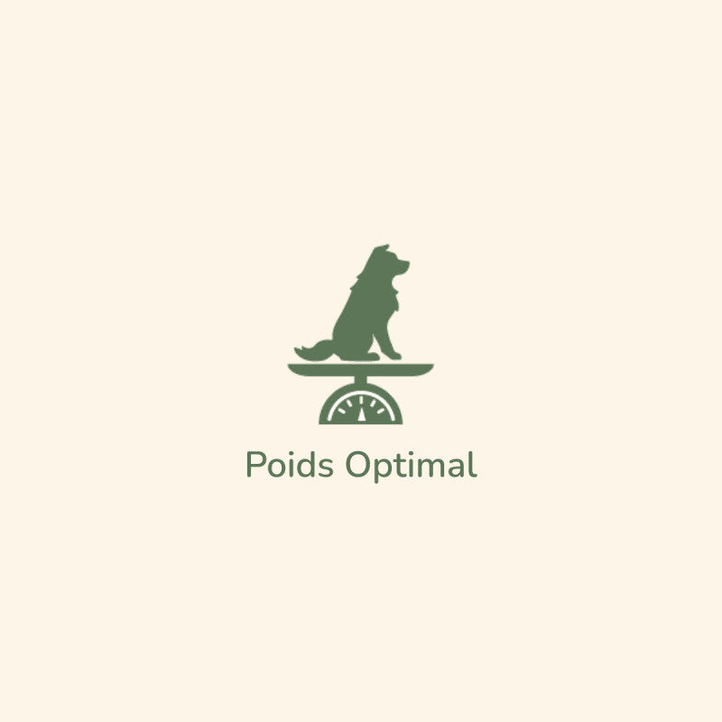 Minimalistisches Logo von Pure Life mit stilisiertem Hund auf Waage und dem Schriftzug „Poids Optimal“ in grüner Schrift.