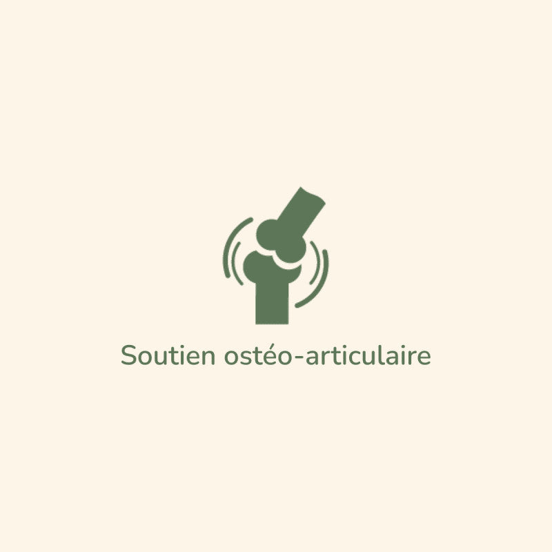 Symbol für Gelenkunterstützung mit Wellenlinien und grüner Schrift "Soutien ostéo-articulaire".