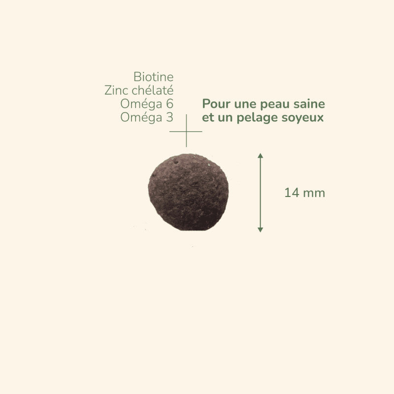 Braune, runde Tablette (14 mm) mit Inhaltsstoffen wie Biotin, Chelat-Zink, Omega 3 und Omega 6.