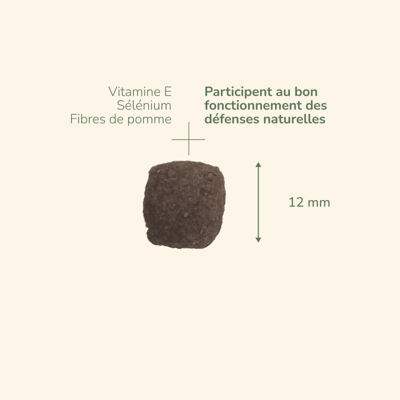 "Mini Snack für Erwachsene mit Vitaminen, Mineralstoffen und Apfelfasern, ideal für gesunde Ernährung."