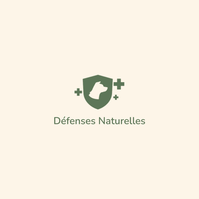 Minimalistisches Logo von Pure Life Adult Mini Canard mit Hundesilhouette und Schriftzug "Défenses Naturelles".