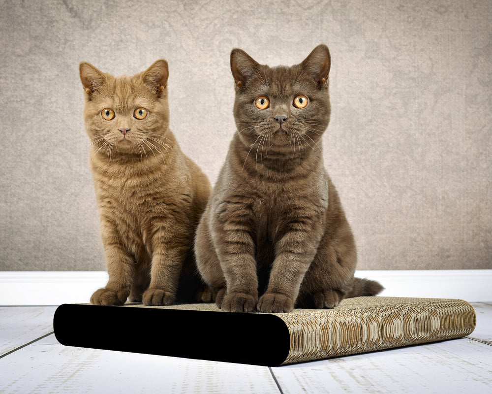 schwarz matt (013x) - Bild 1