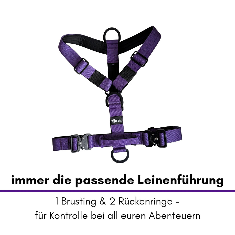"Lila Y-Hundegeschirr mit verstellbarem Brustgurt und zwei D-Ringen für optimale Kontrolle beim Gassigehen."